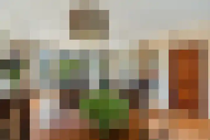 Populierendreef 1 Vlaardingen thumbnail 9