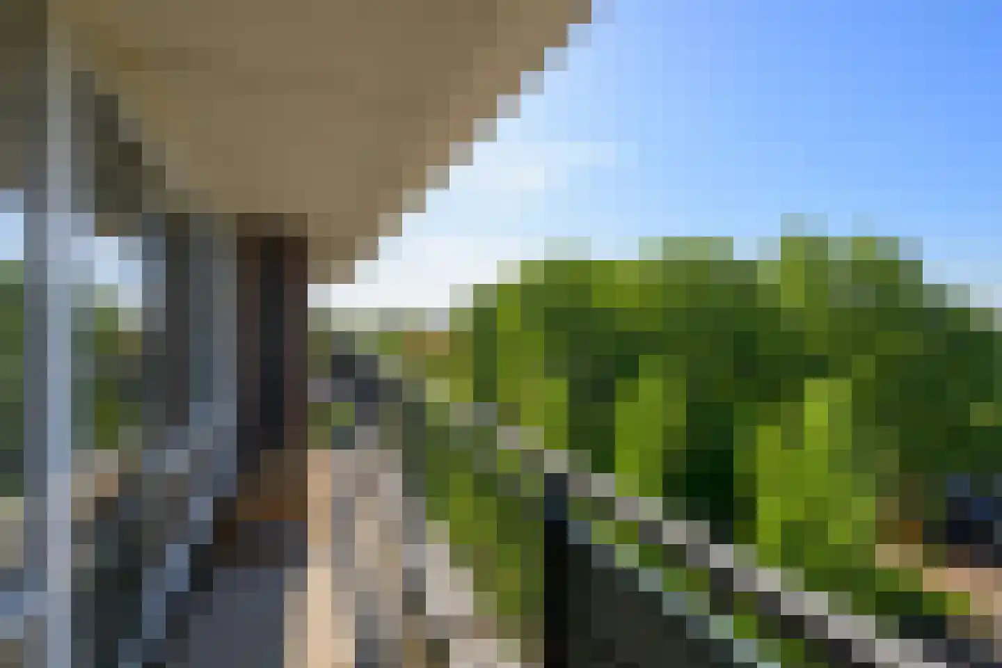 Populierendreef 119 Voorburg thumbnail 15