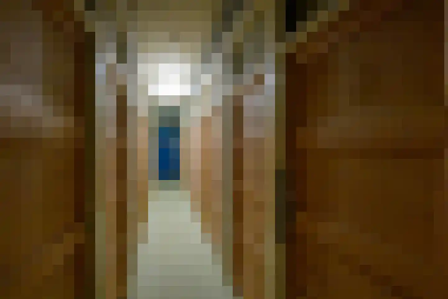 Populierendreef 119 Voorburg thumbnail 27