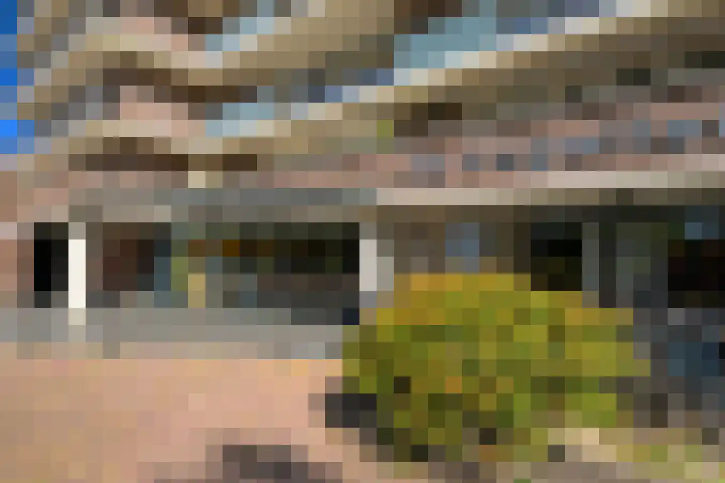 Populierendreef 119 Voorburg thumbnail 4
