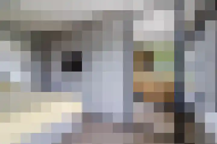 Populierendreef 135 Voorburg thumbnail 18
