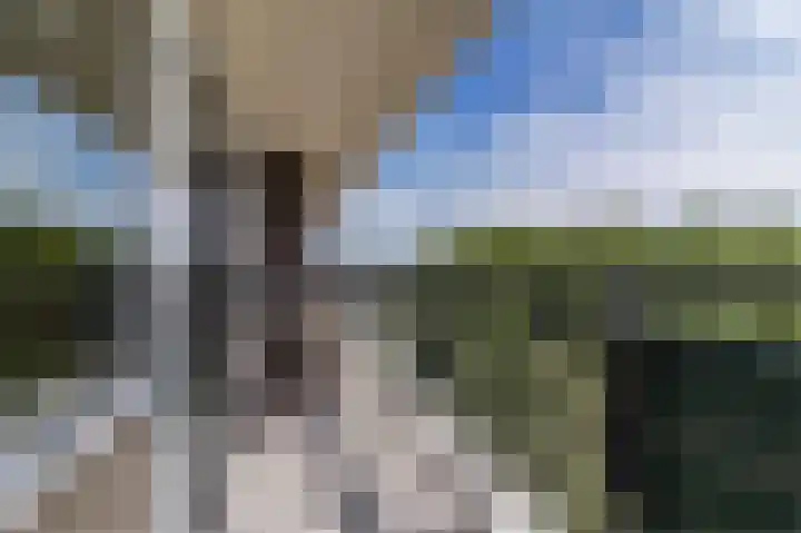 Populierendreef 135 Voorburg thumbnail 23