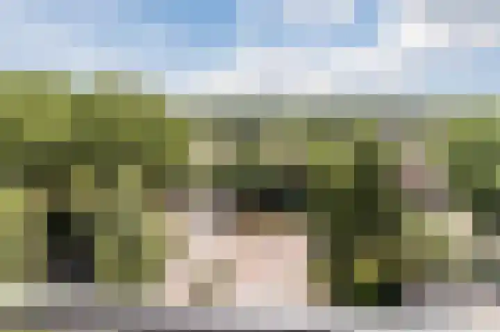 Populierendreef 135 Voorburg thumbnail 24