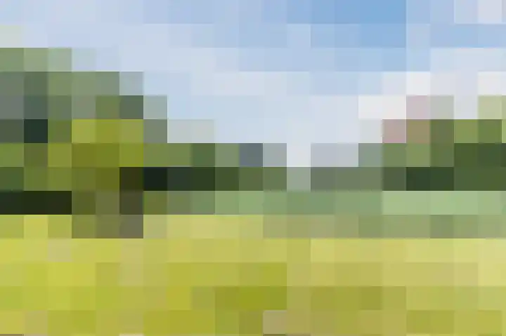 Populierendreef 135 Voorburg thumbnail 28