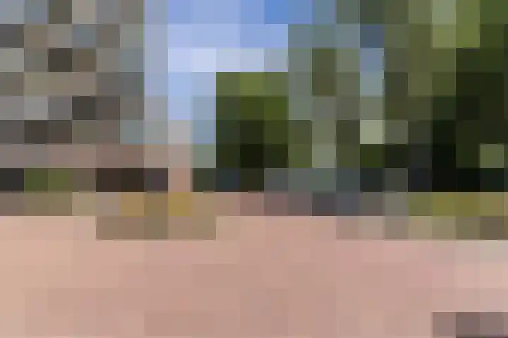 Populierendreef 135 Voorburg thumbnail 6