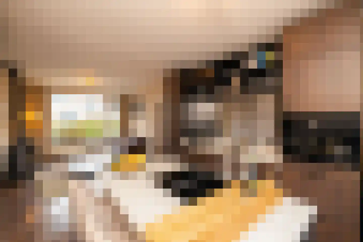 Populierendreef 14 Haastrecht thumbnail 19