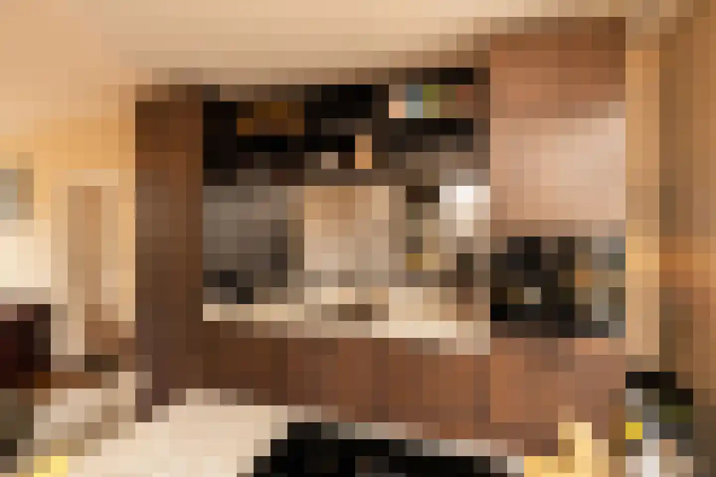 Populierendreef 14 Haastrecht thumbnail 20