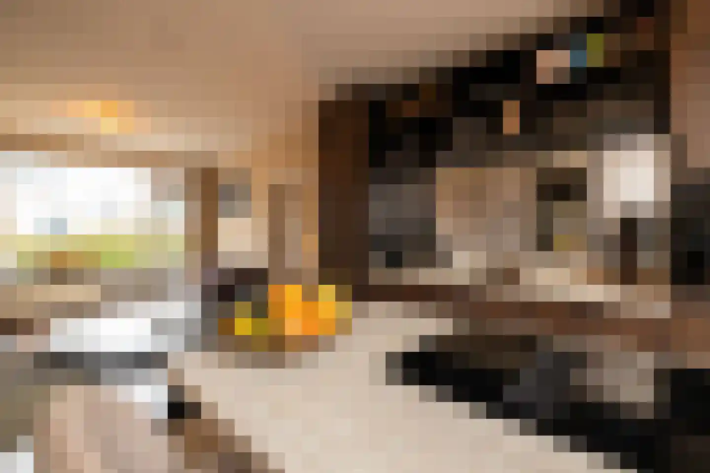 Populierendreef 14 Haastrecht thumbnail 21