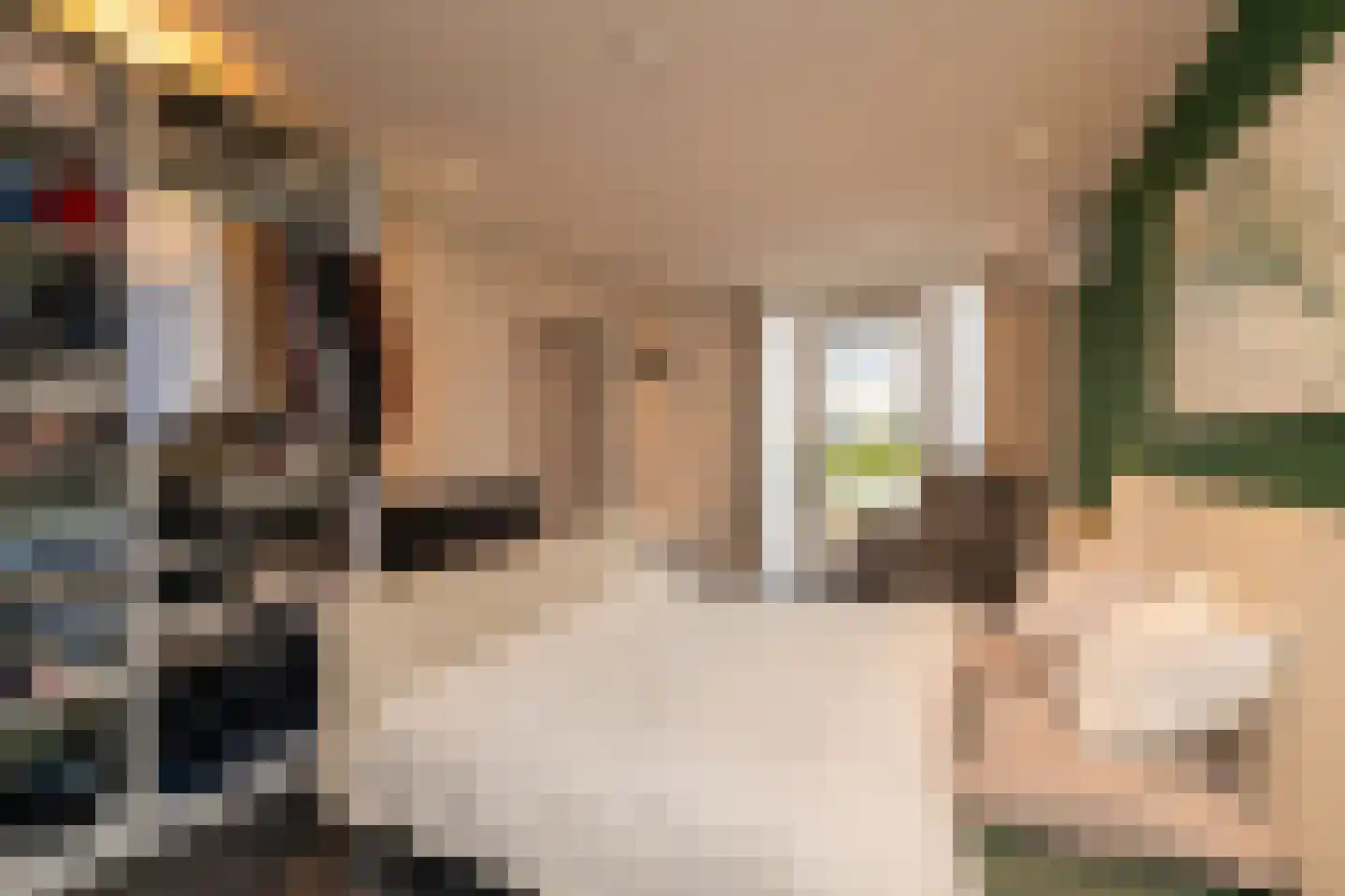 Populierendreef 14 Haastrecht thumbnail 27