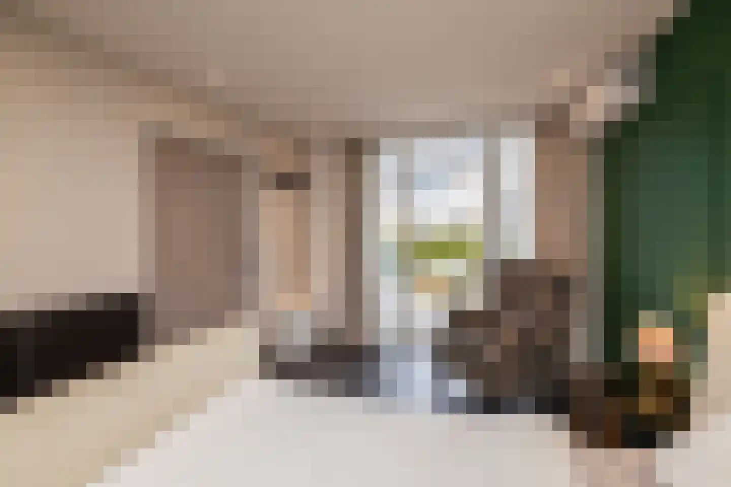Populierendreef 14 Haastrecht thumbnail 28