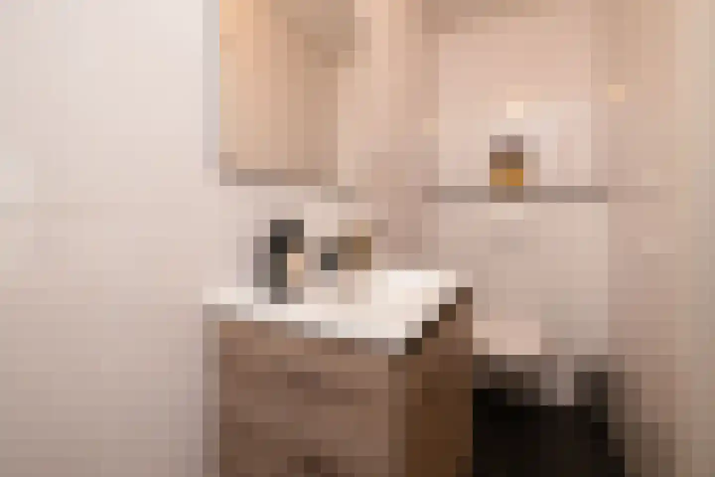 Populierendreef 14 Haastrecht thumbnail 30