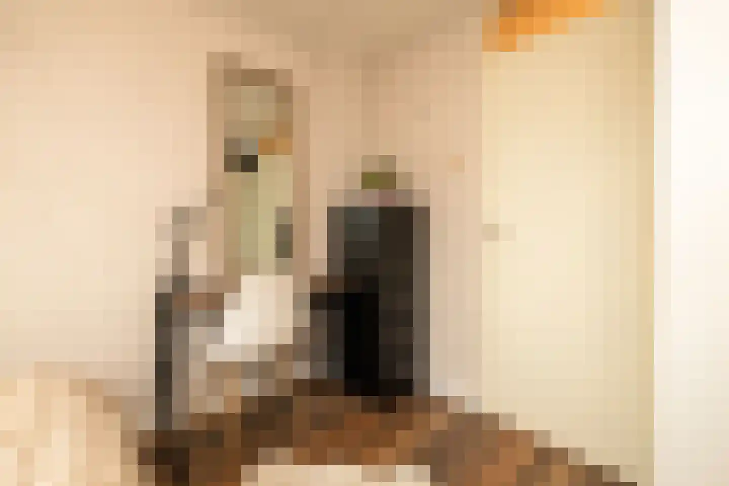 Populierendreef 14 Haastrecht thumbnail 34