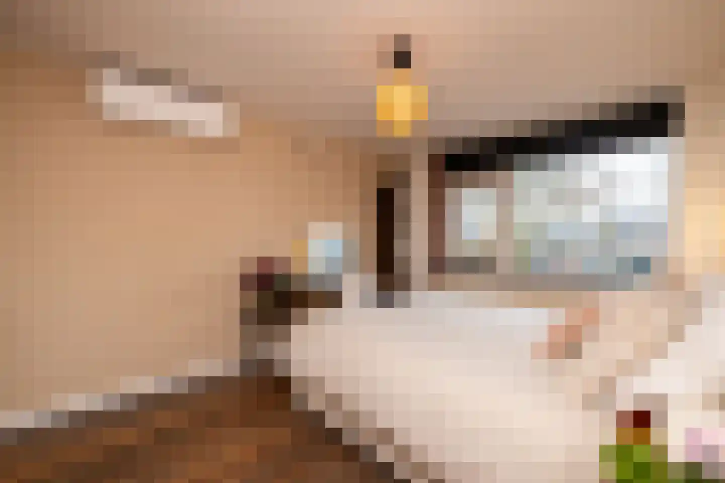 Populierendreef 14 Haastrecht thumbnail 36