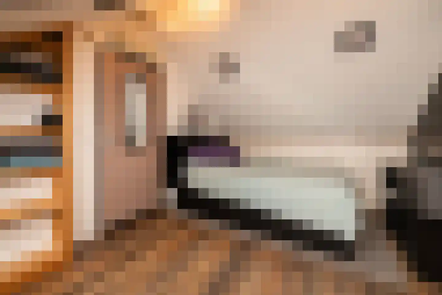 Populierendreef 14 Haastrecht thumbnail 47