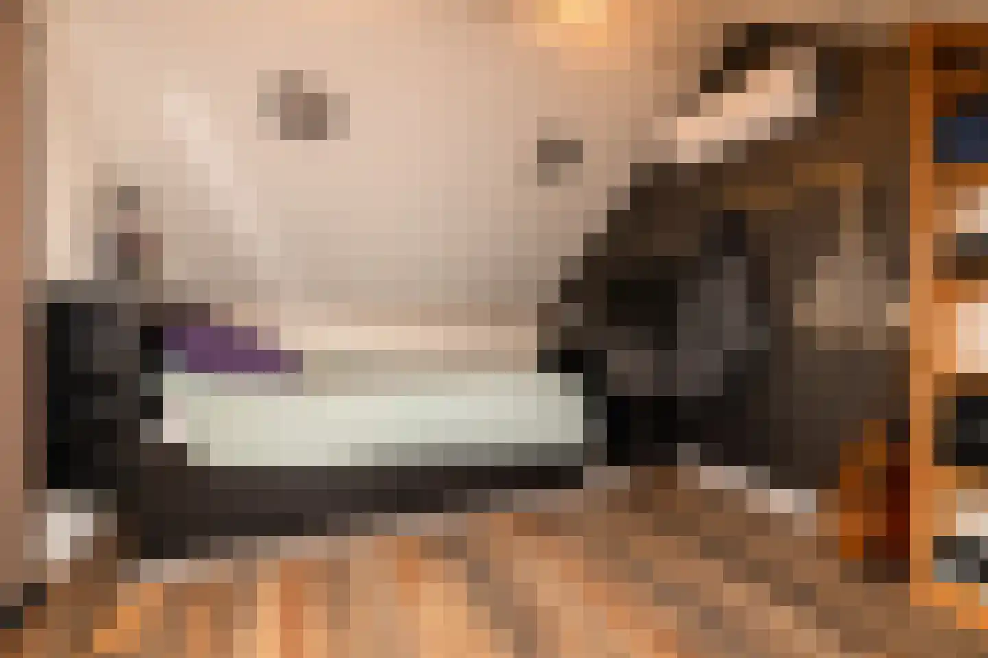 Populierendreef 14 Haastrecht thumbnail 48