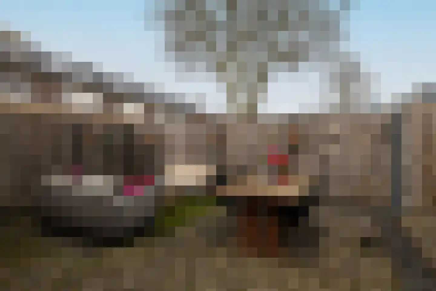 Populierendreef 14 Haastrecht thumbnail 60