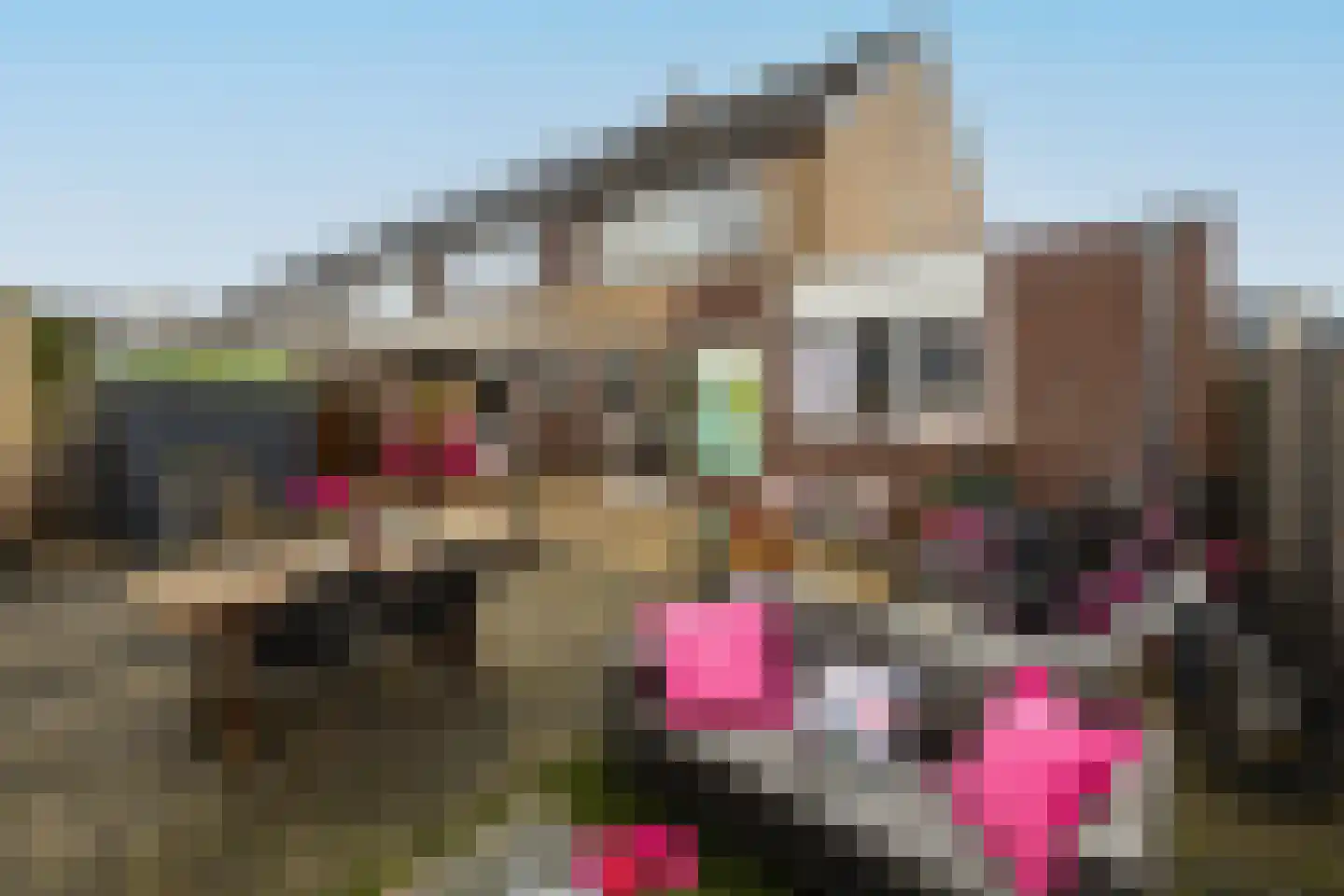 Populierendreef 14 Haastrecht thumbnail 61
