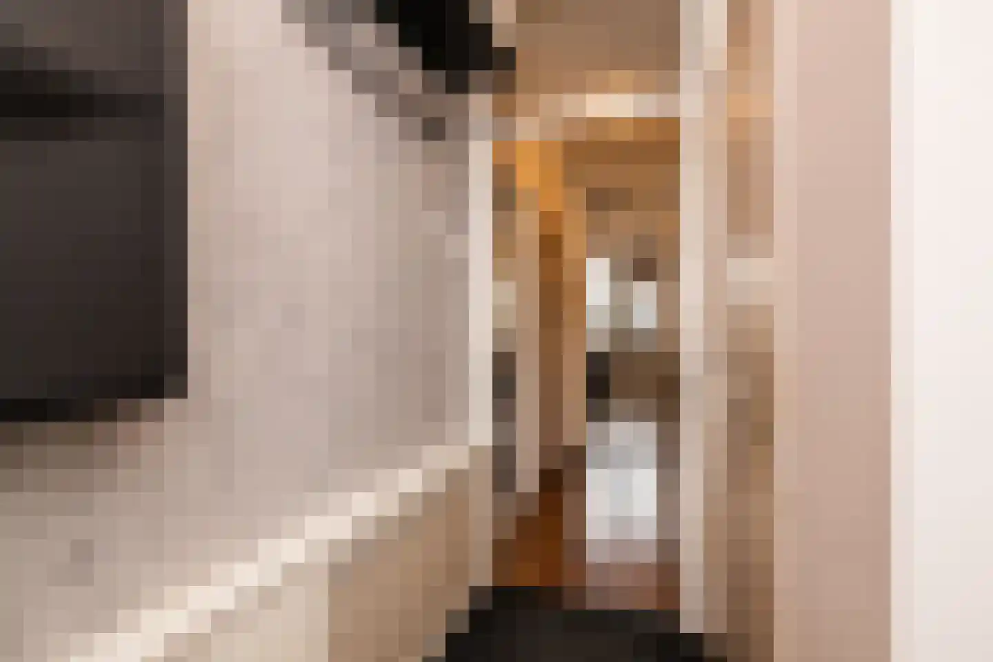 Populierendreef 14 Haastrecht thumbnail 7