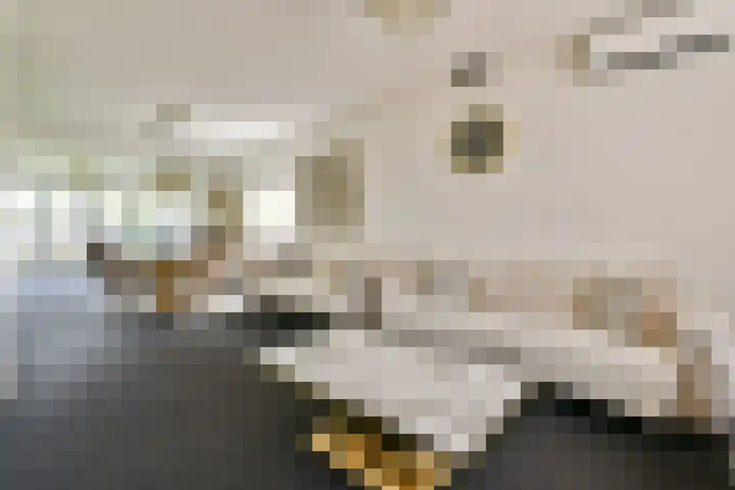 Populierendreef 165 Vlaardingen thumbnail 5