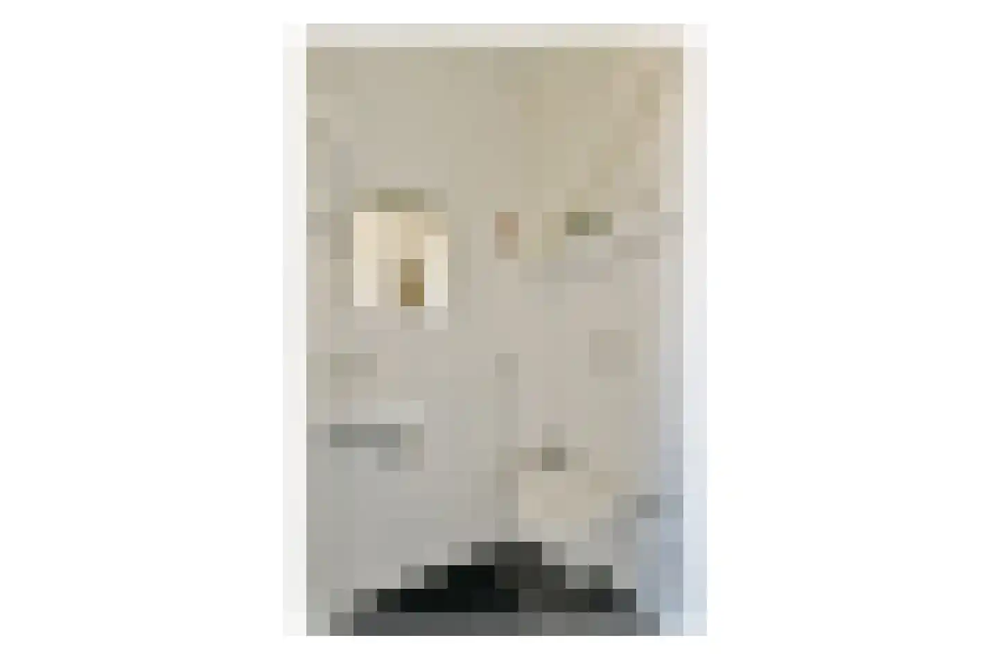 Populierendreef 165 Vlaardingen thumbnail 8