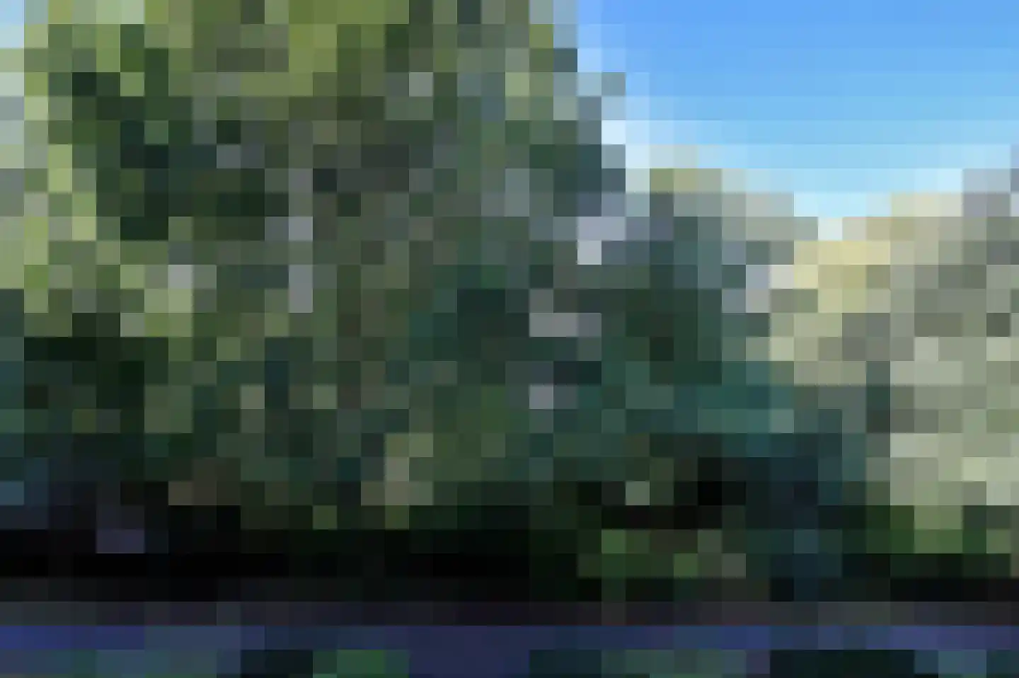 Populierendreef 204 Voorburg thumbnail 19