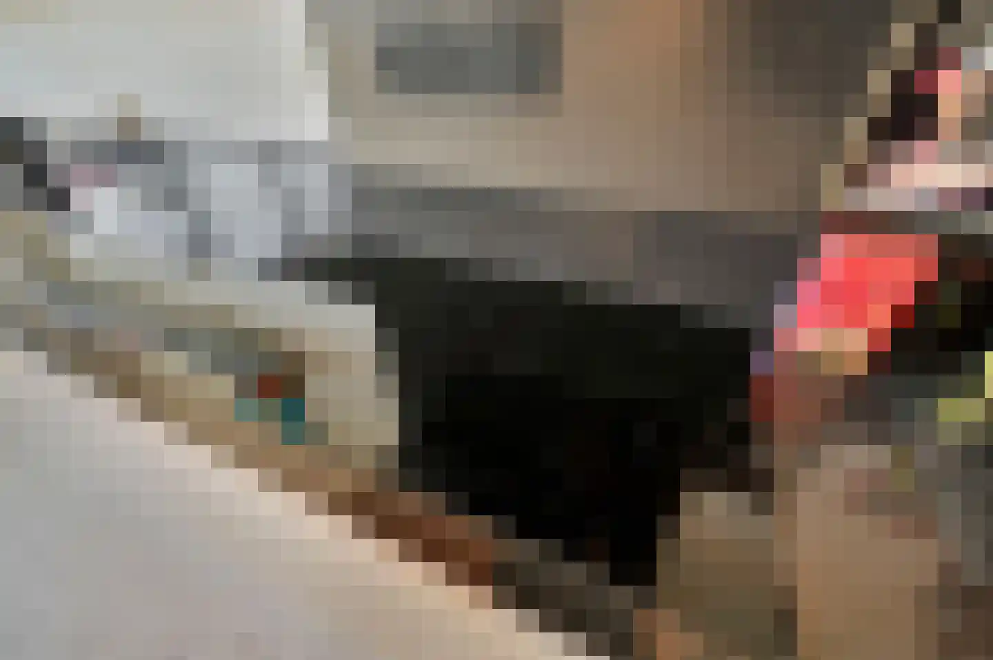 Populierendreef 204 Voorburg thumbnail 23