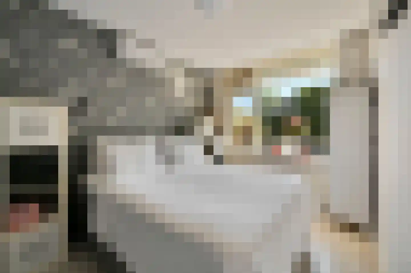 Populierendreef 204 Voorburg thumbnail 26