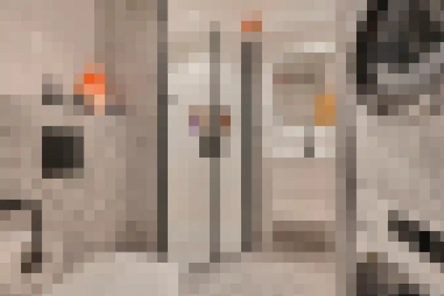 Populierendreef 204 Voorburg thumbnail 29