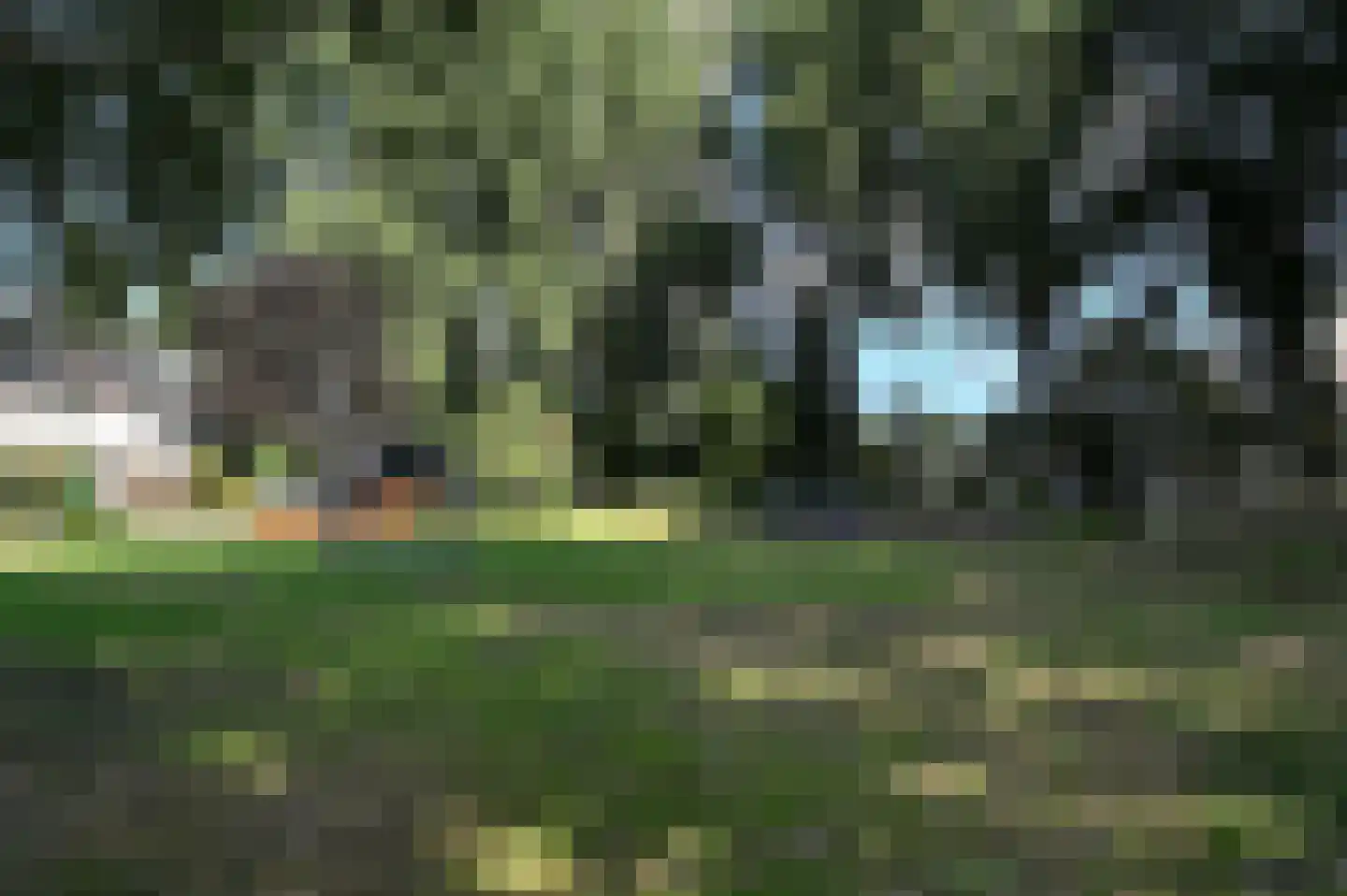 Populierendreef 204 Voorburg thumbnail 43