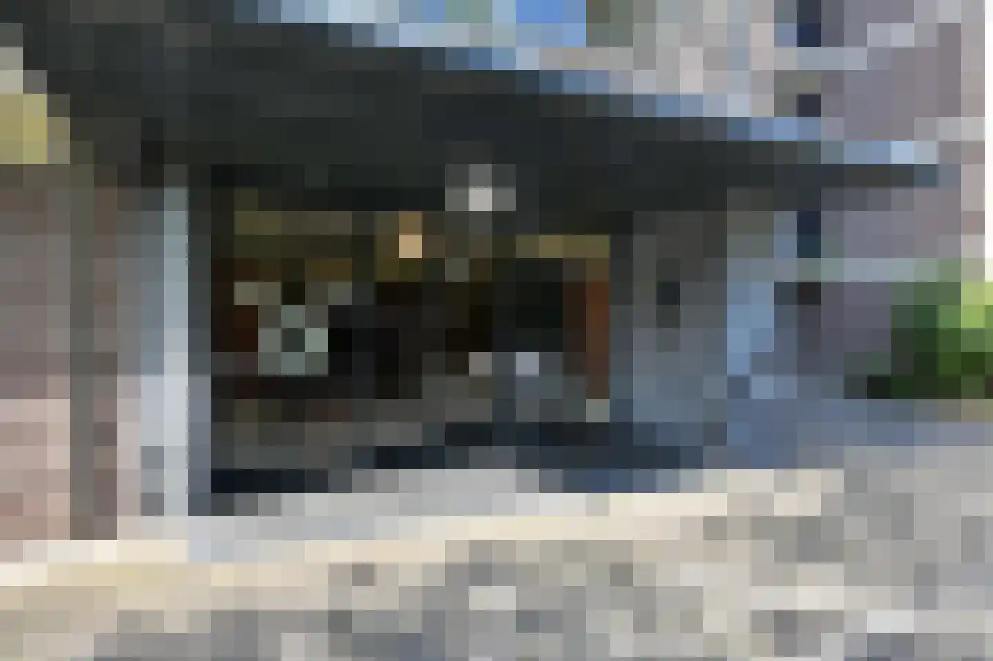 Populierendreef 204 Voorburg thumbnail 6