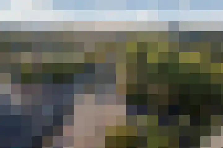 Populierendreef 241 Voorburg thumbnail 14