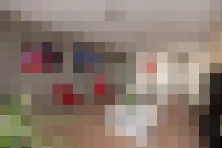 Populierendreef 241 Voorburg thumbnail 17