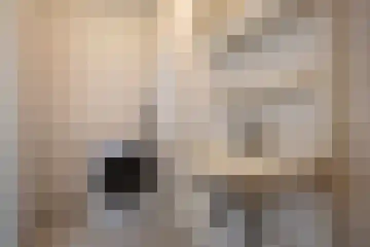 Populierendreef 241 Voorburg thumbnail 25