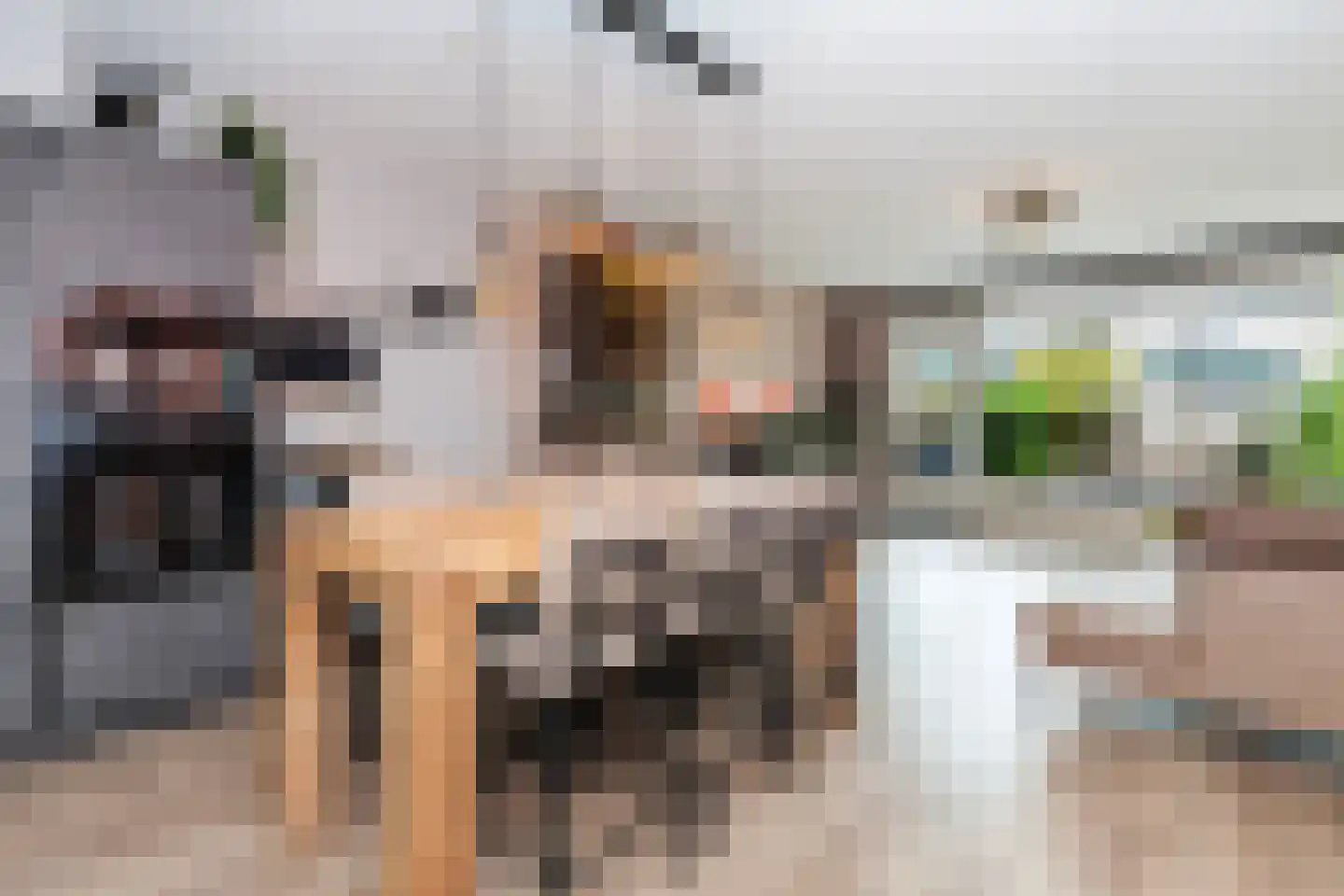 Populierendreef 25 Vlaardingen thumbnail 13