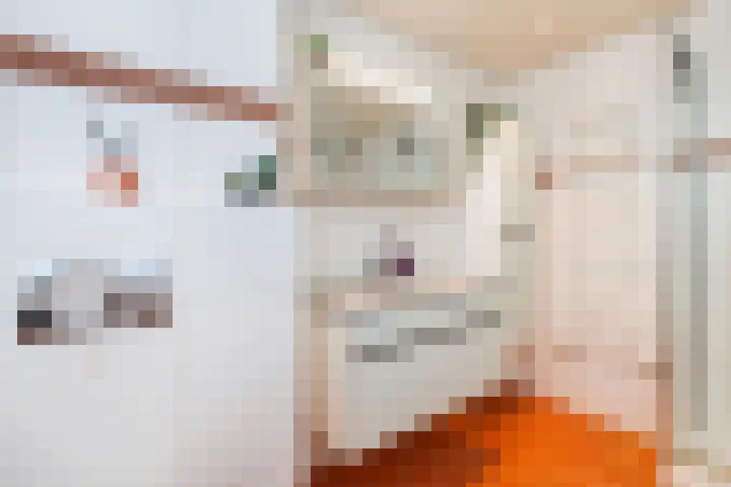 Populierendreef 25 Vlaardingen thumbnail 32