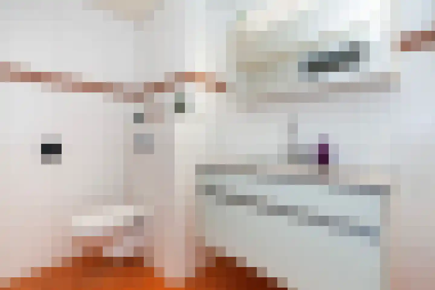 Populierendreef 25 Vlaardingen thumbnail 35