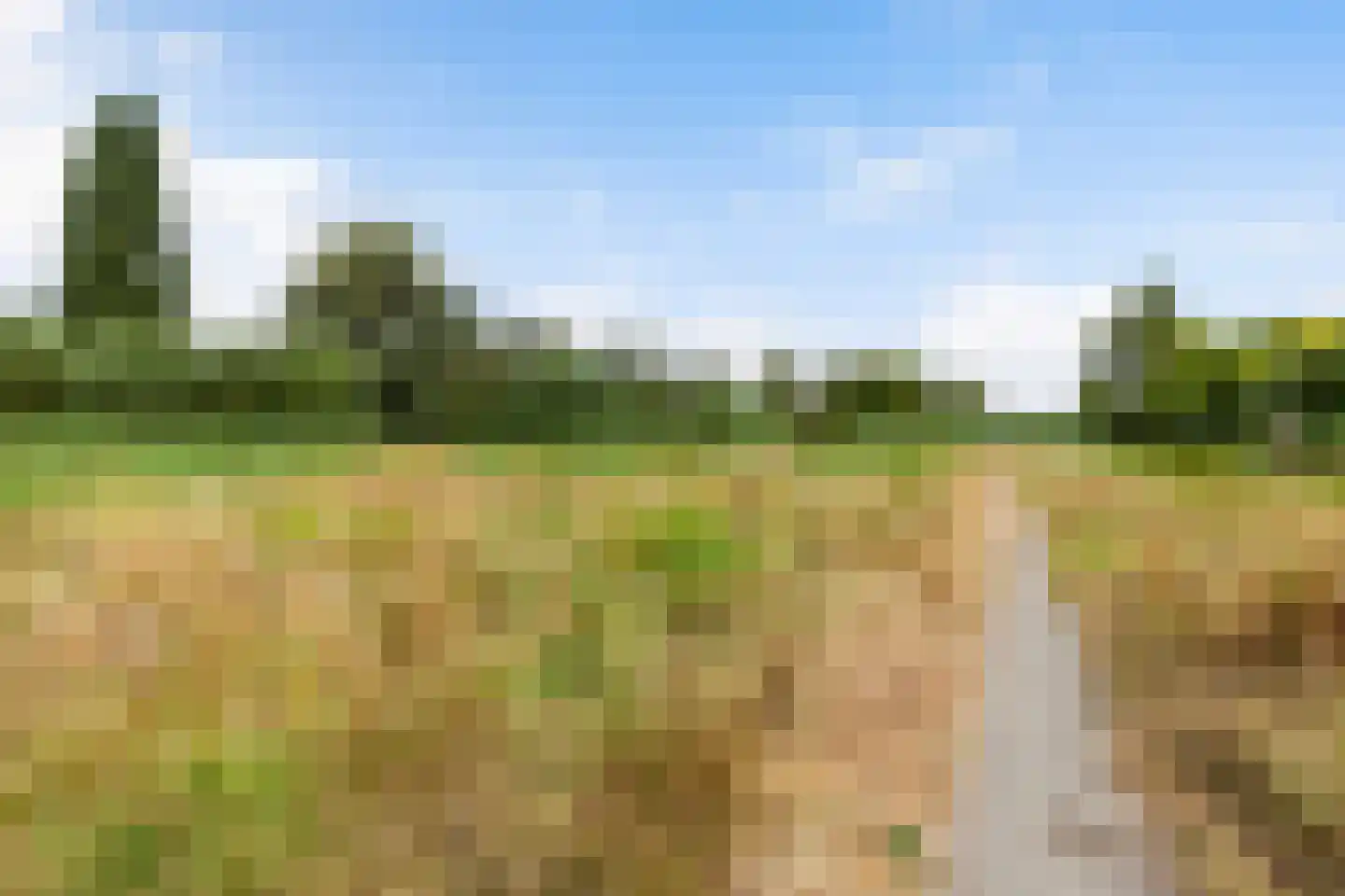 Populierendreef 25 Vlaardingen thumbnail 44