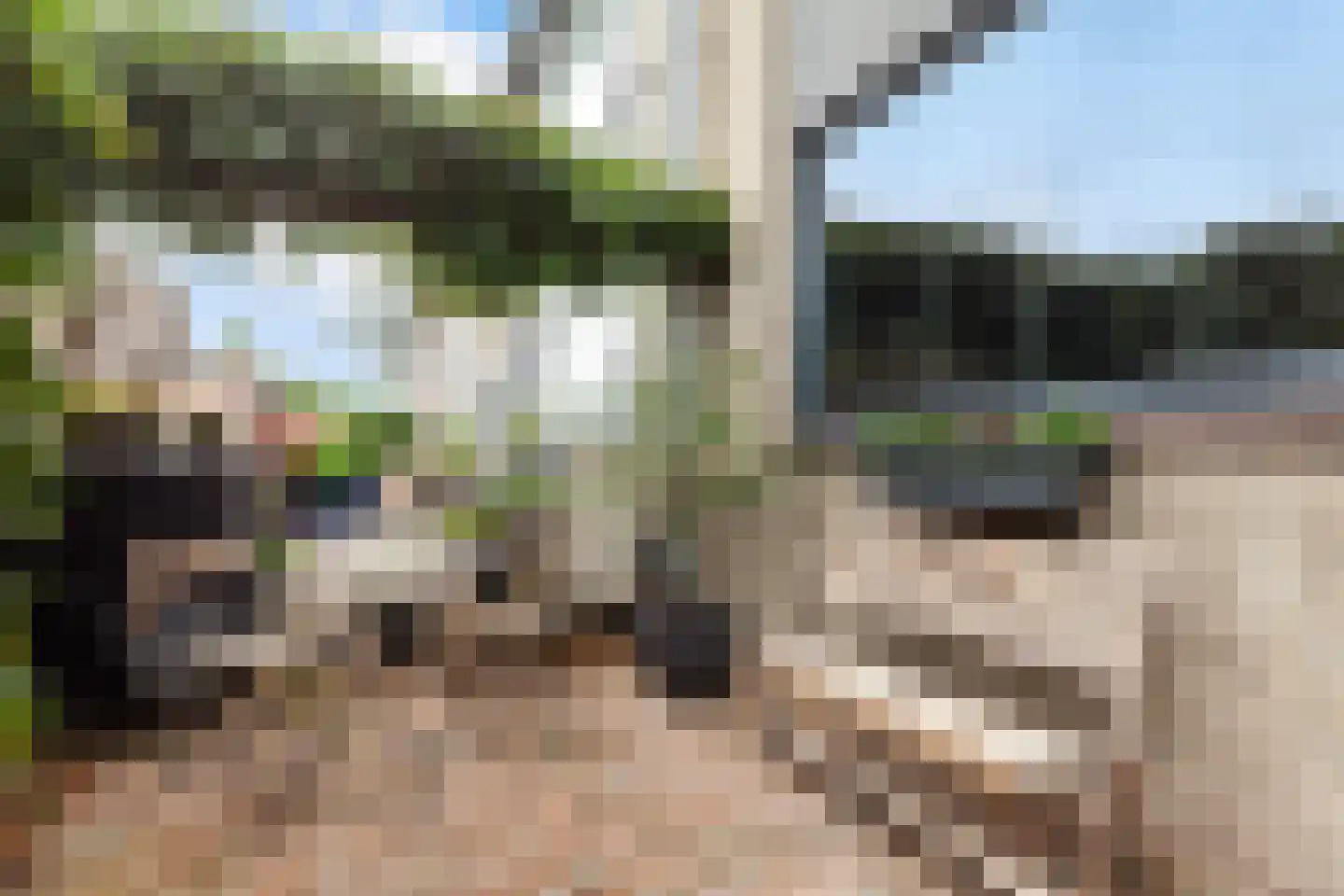 Populierendreef 25 Vlaardingen thumbnail 5