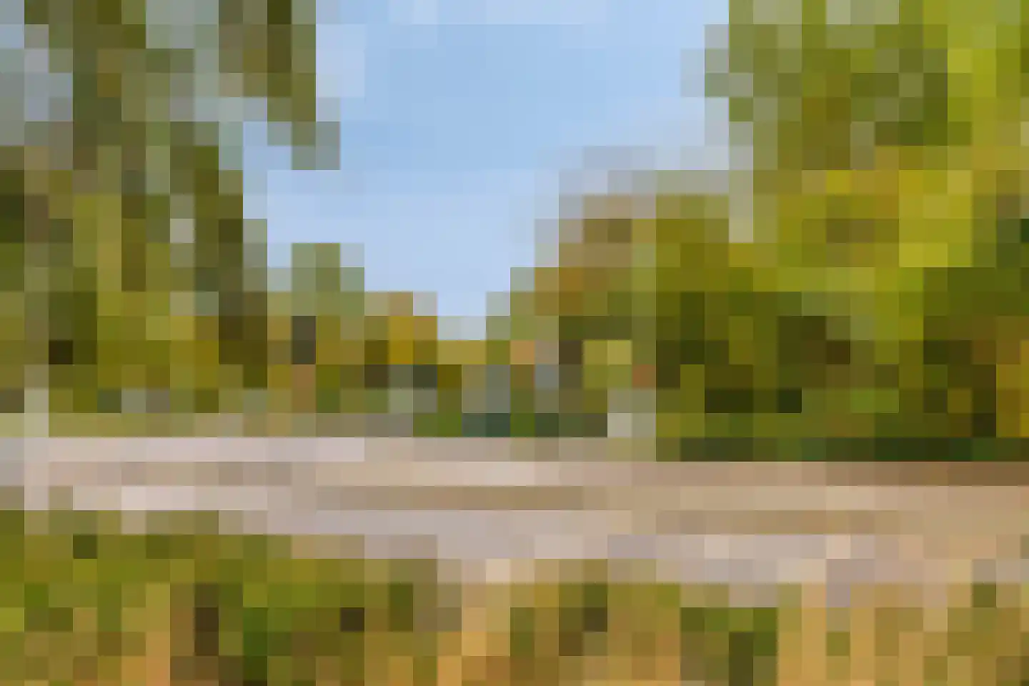 Populierendreef 25 Voorburg thumbnail 13
