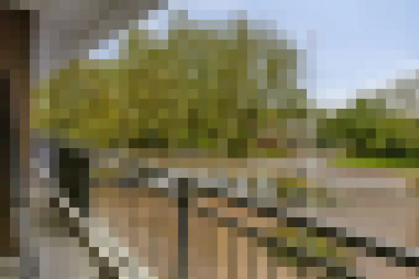 Populierendreef 25 Voorburg thumbnail 14