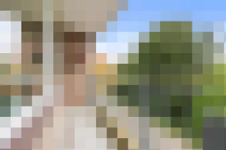 Populierendreef 258 Voorburg thumbnail 11