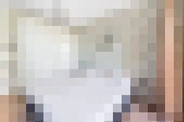 Populierendreef 258 Voorburg thumbnail 14