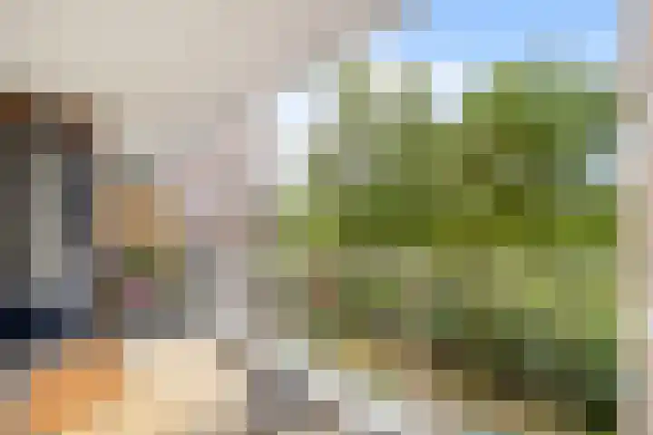 Populierendreef 258 Voorburg thumbnail 15