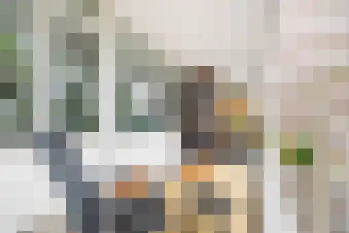 Populierendreef 258 Voorburg thumbnail 16