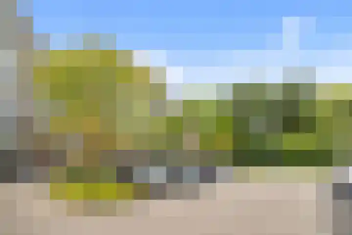 Populierendreef 258 Voorburg thumbnail 23