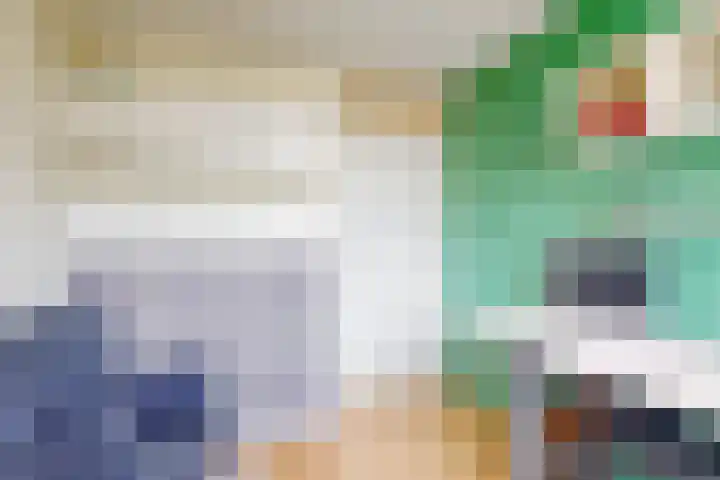 Populierendreef 26 Vlaardingen thumbnail 25
