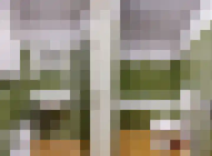 Populierendreef 26 Vlaardingen thumbnail 27