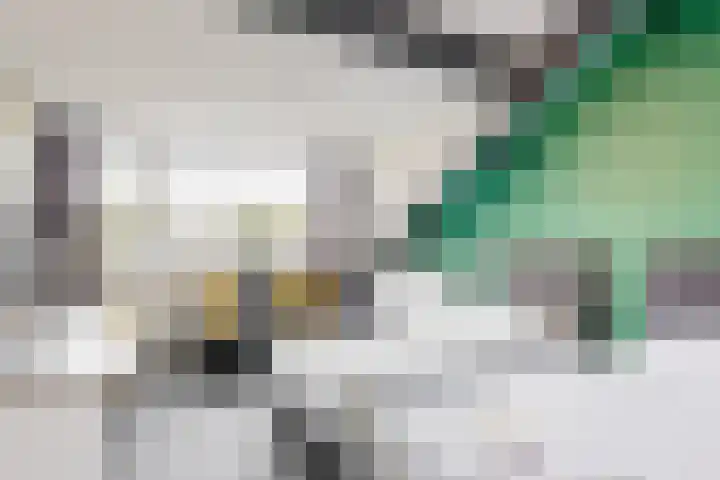 Populierendreef 26 Vlaardingen thumbnail 30