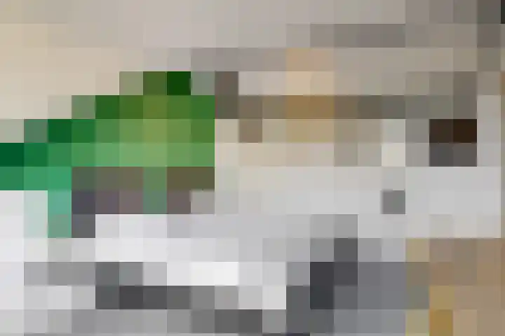 Populierendreef 26 Vlaardingen thumbnail 31