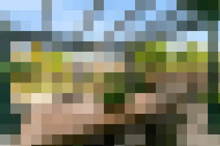 Populierendreef 26 Vlaardingen thumbnail 33